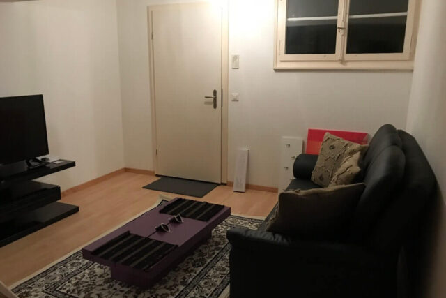 1 BR Furnished & Tastefully Done Apartment in Zug